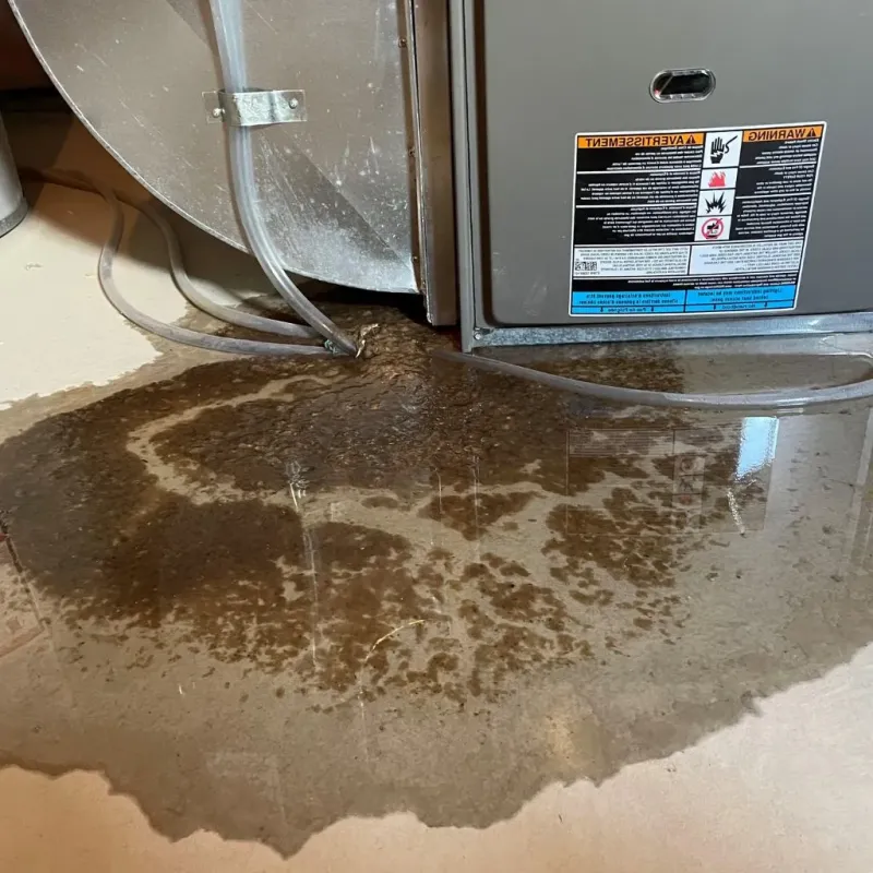 Pipe Burst and Leak Restoration in Franklin Park, PA