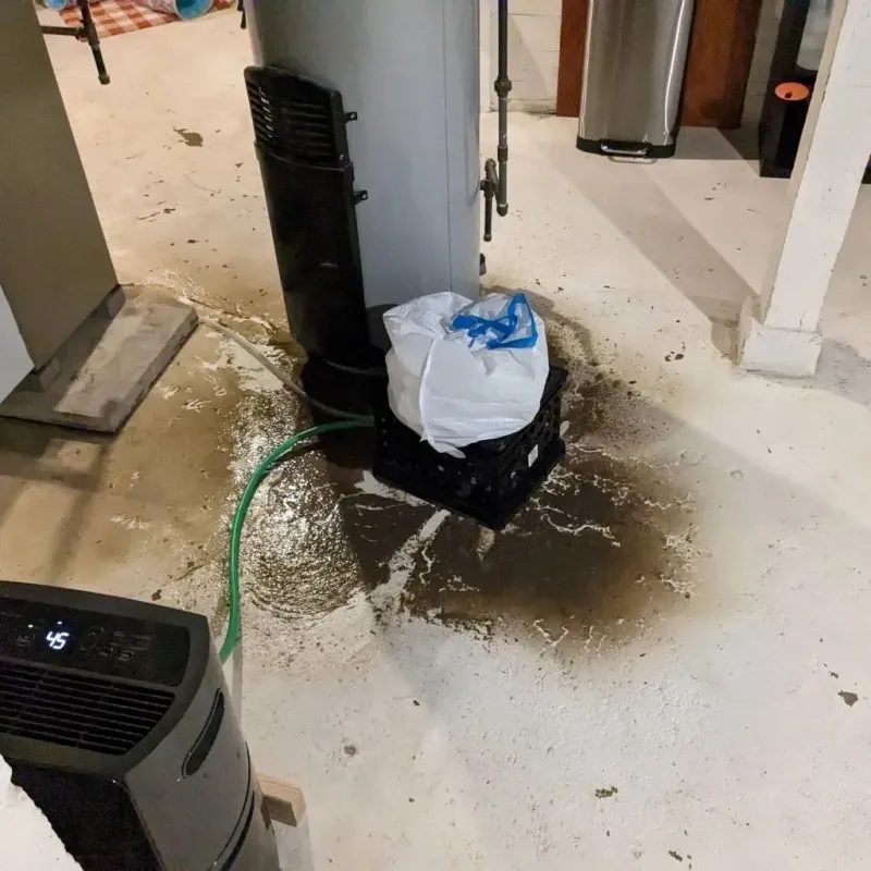 Sewage Backup Cleanup Service in Franklin Park, PA
